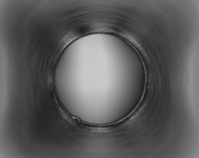 X0000086751281200705041420