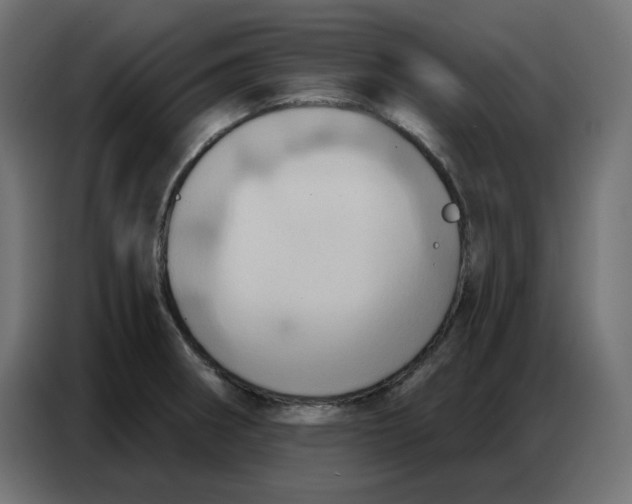 X0000086751282200705041420