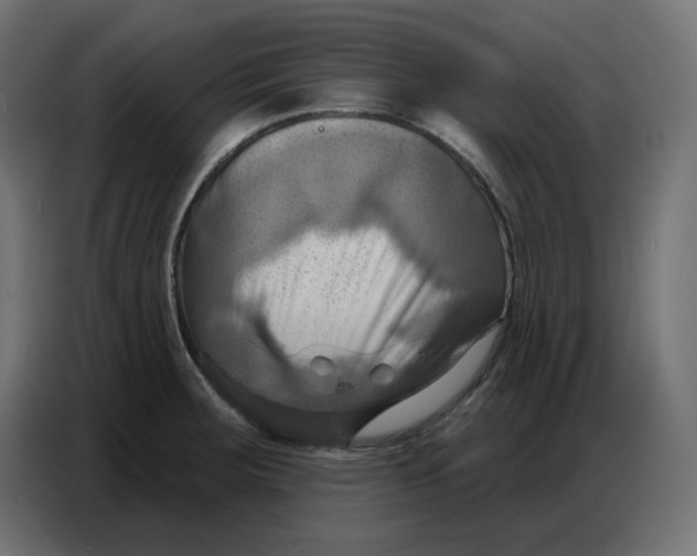 X0000086751283200705041420