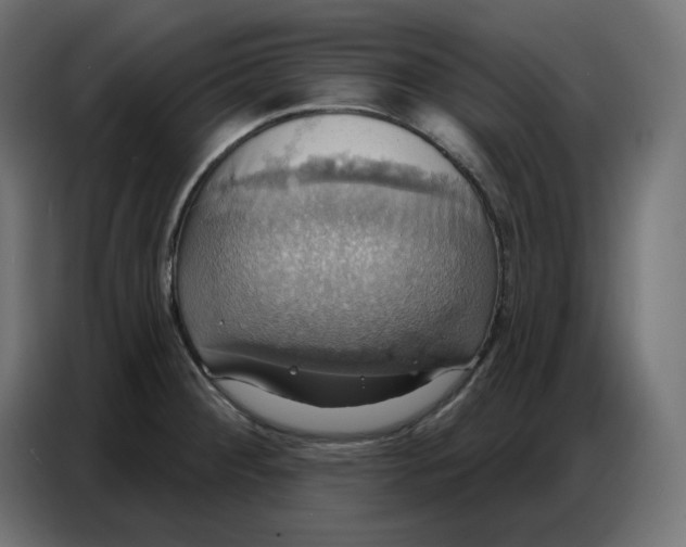 X0000086751284200705041420