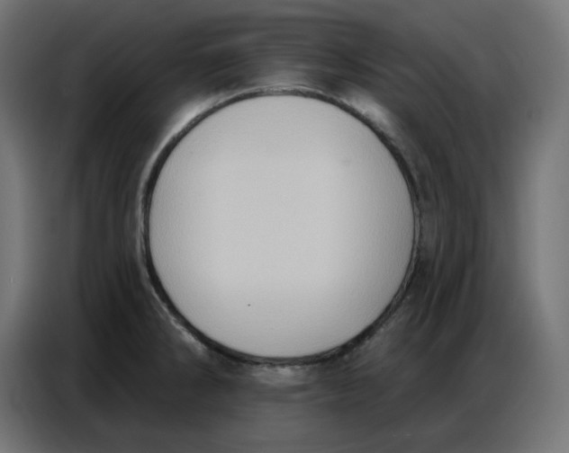 X0000086751286200705041420