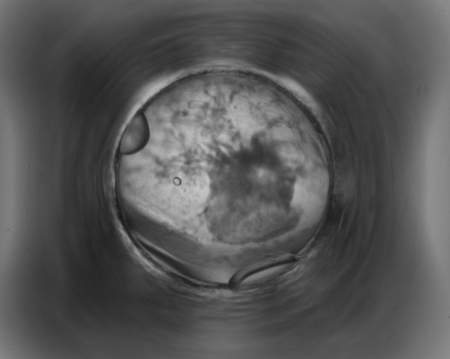 X0000086751287200705041420