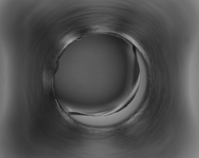 X0000086751289200705041420