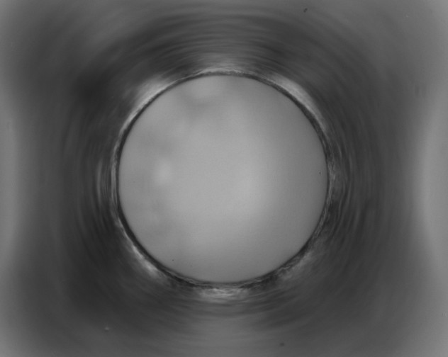 X0000086751290200705041420