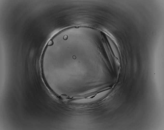 X0000086751291200705041420