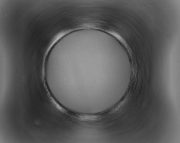 X0000086751294200705041420