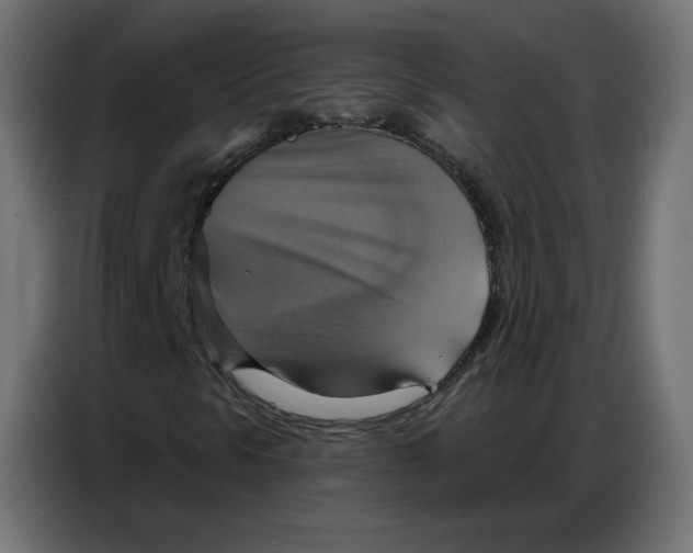 X0000086751297200705041419