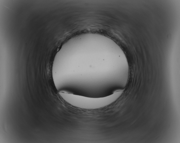 X0000086751298200705041419