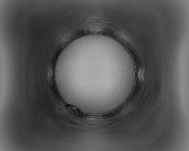 X0000086751299200705041419