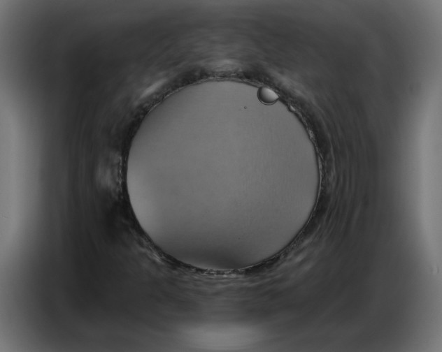 X0000086751301200705041419