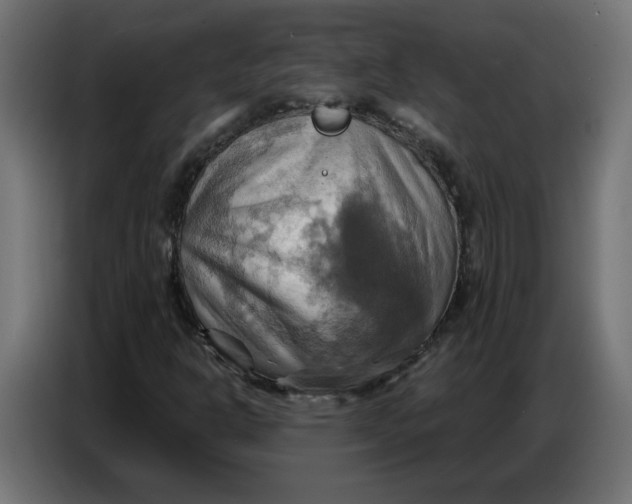 X0000086751302200705041419