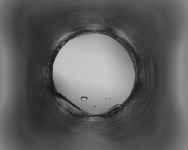 X0000086751304200705041419