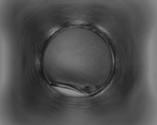 X0000086751305200705041419