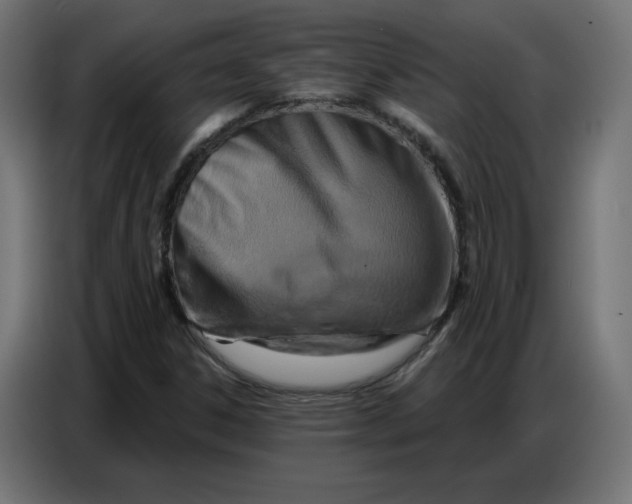 X0000086751306200705041419