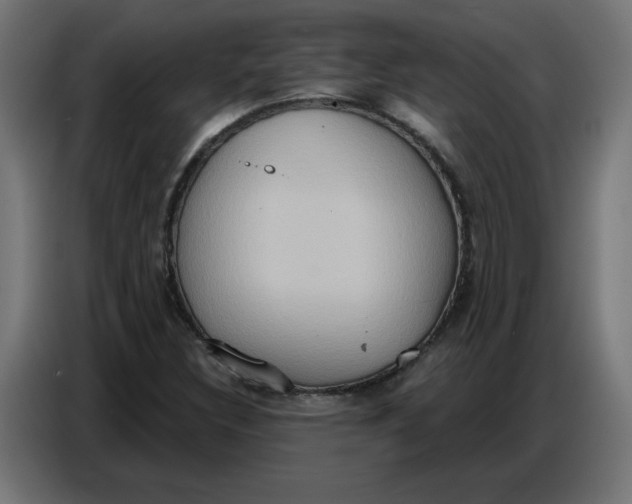 X0000086751308200705041419