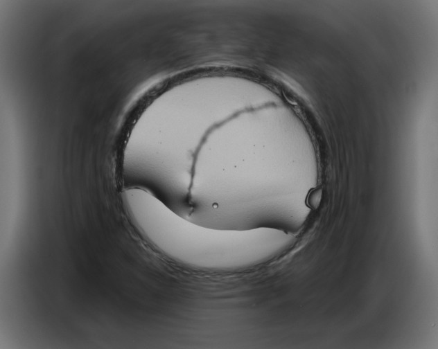 X0000086751310200705041419