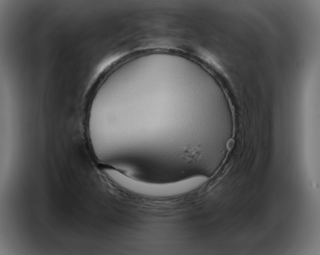 X0000086751312200705041419