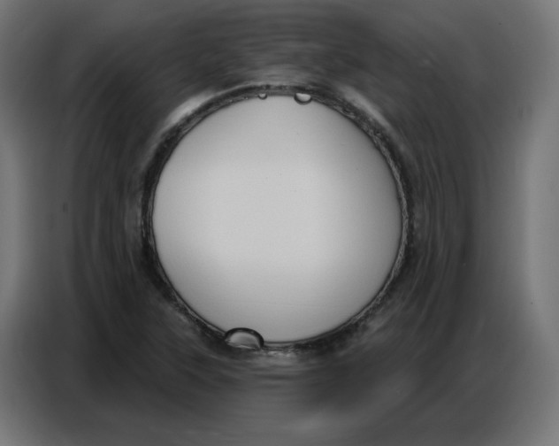 X0000086751315200705041419