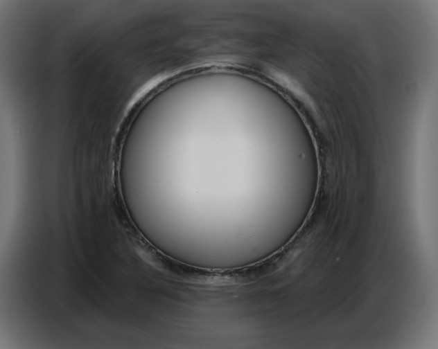 X0000086751316200705041419