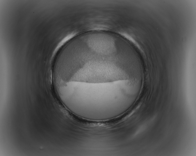 X0000086751317200705041419