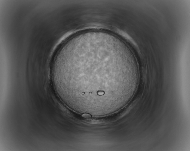 X0000086751318200705041419