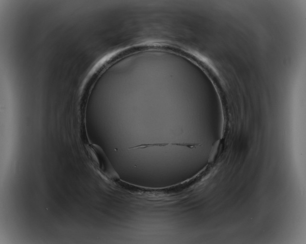 X0000086751319200705041419