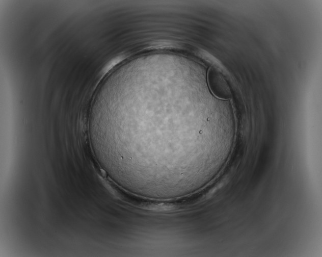 X0000086751321200705041419