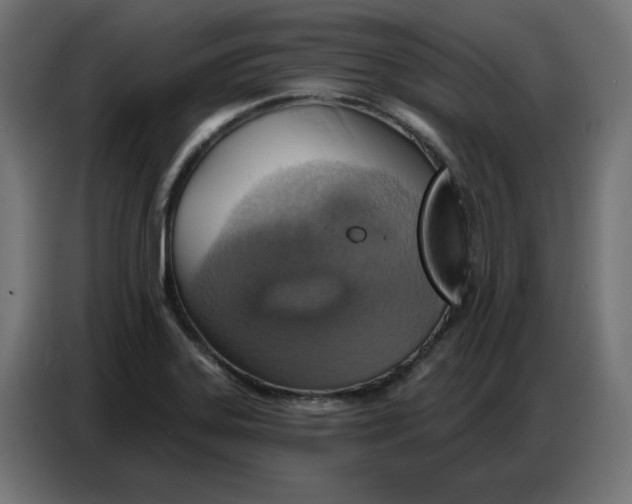 X0000086751323200705041419