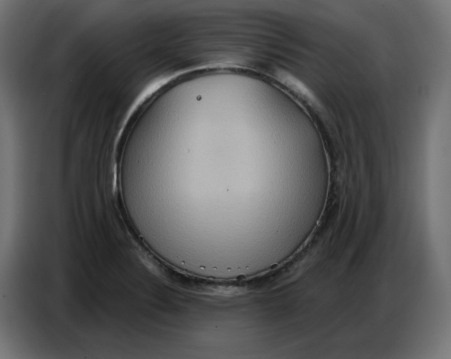 X0000086751324200705041420