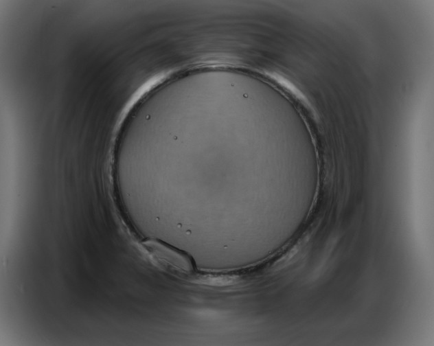 X0000086751325200705041420