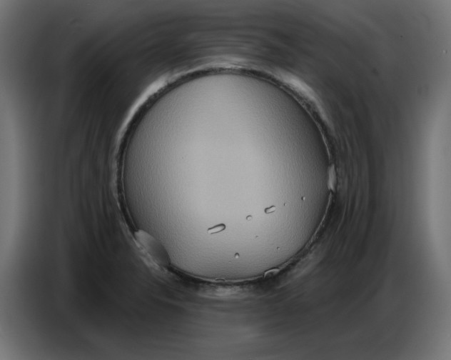 X0000086751326200705041420