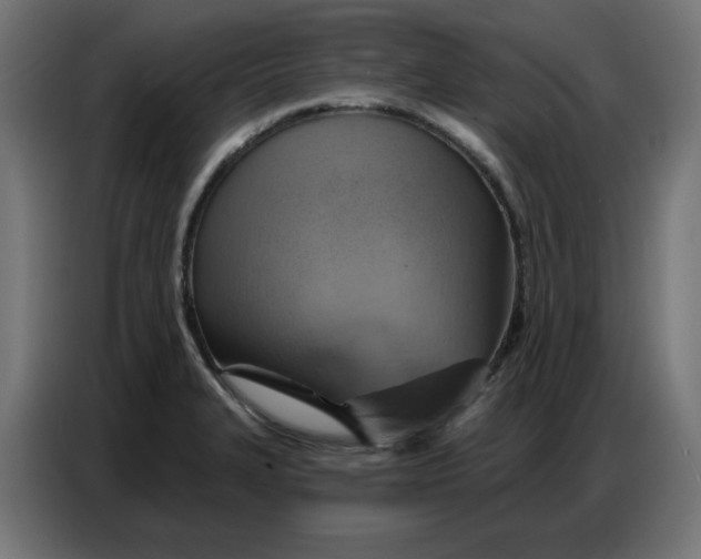 X0000086751327200705041420