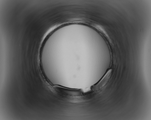 X0000086751328200705041420