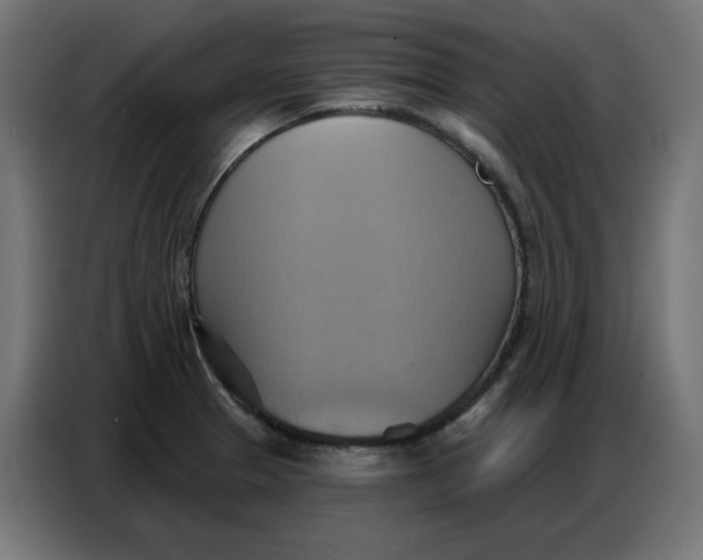 X0000086751329200705041420