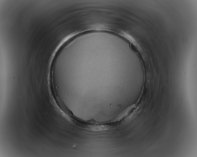 X0000086751331200705041420