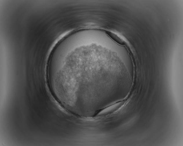 X0000086751333200705041420