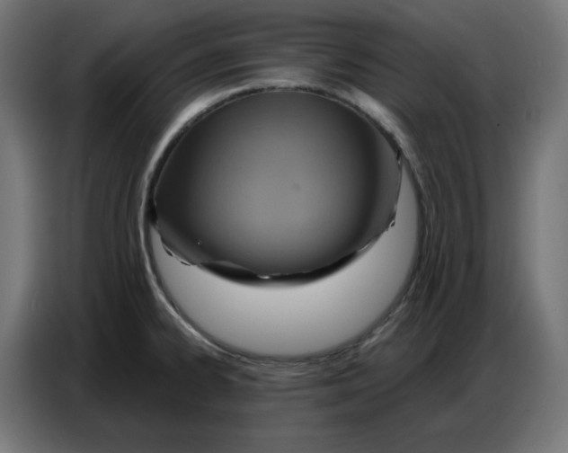 X0000086751334200705041420