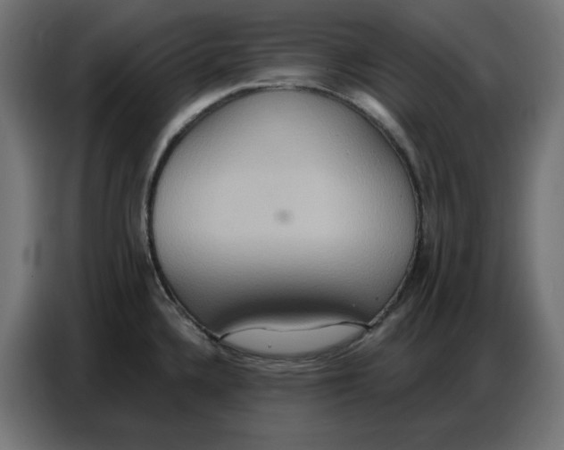 X0000086751336200705041420