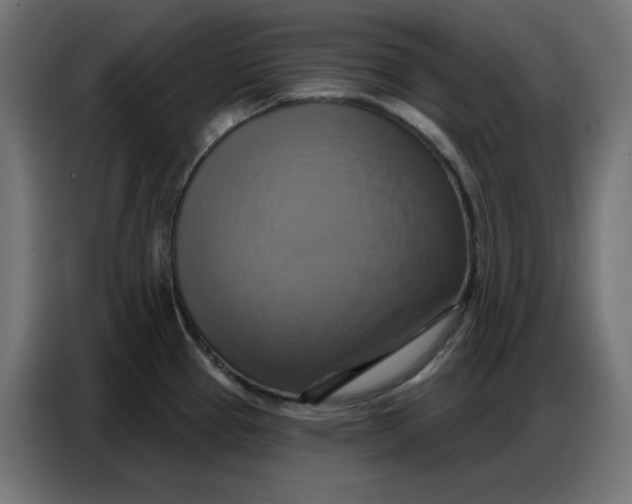 X0000086751337200705041420