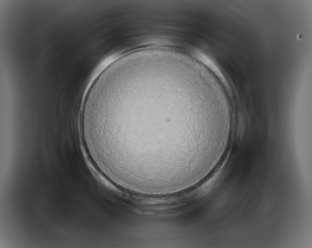 X0000086751338200705041420