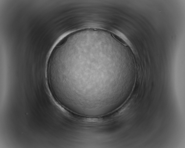 X0000086751339200705041420