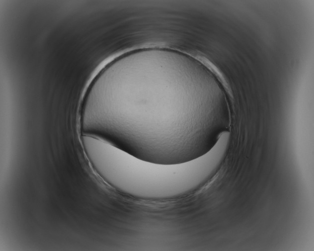 X0000086751340200705041420