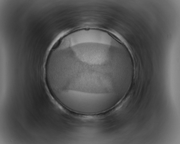 X0000086751341200705041420