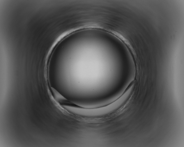 X0000086751342200705041420