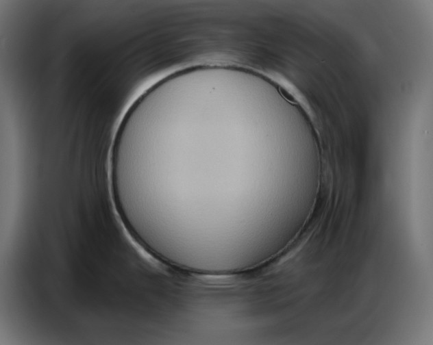 X0000086751343200705041420