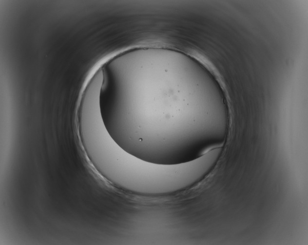 X0000086751344200705041420