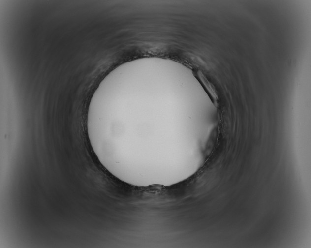 X0000086751345200705041419