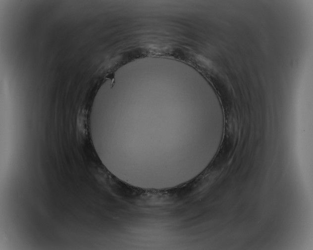 X0000086751346200705041419