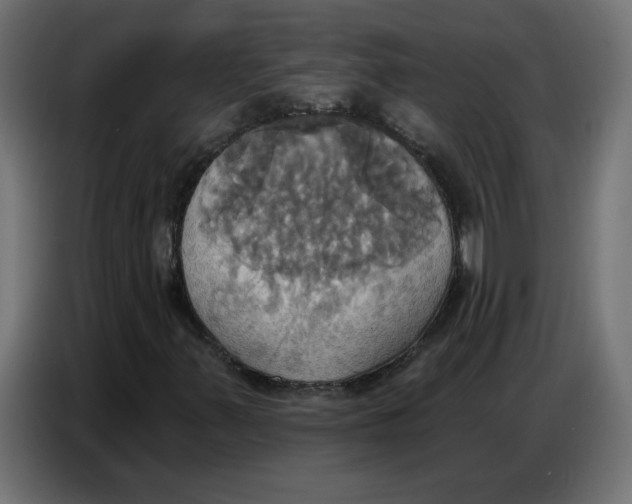 X0000086751347200705041419