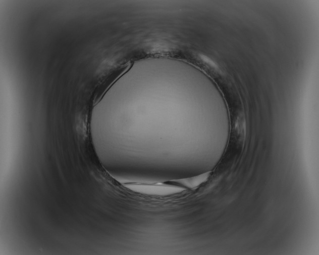 X0000086751348200705041419